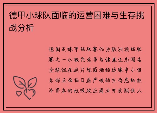 德甲小球队面临的运营困难与生存挑战分析