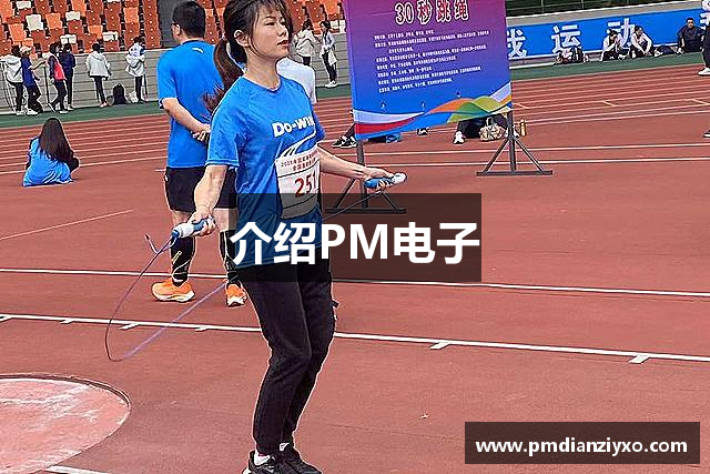介绍PM电子